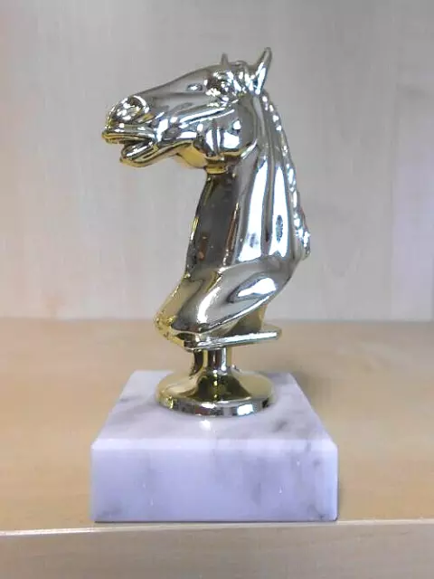 Reiten Pokal Figur Turnier Kids Trophäe Pokale Reitsport Ponyhof Pferde (pf18)