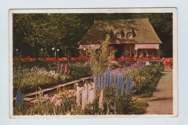 AK 515 Deutschland Sachsen Dresden 1936 Reichsgartenschau Linke Irisgarten Nr.24