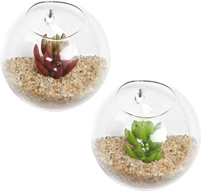 2-Pc Wall Mounted Clear Glass Terrariums, Air Plant Globes, Candle Display Bowls