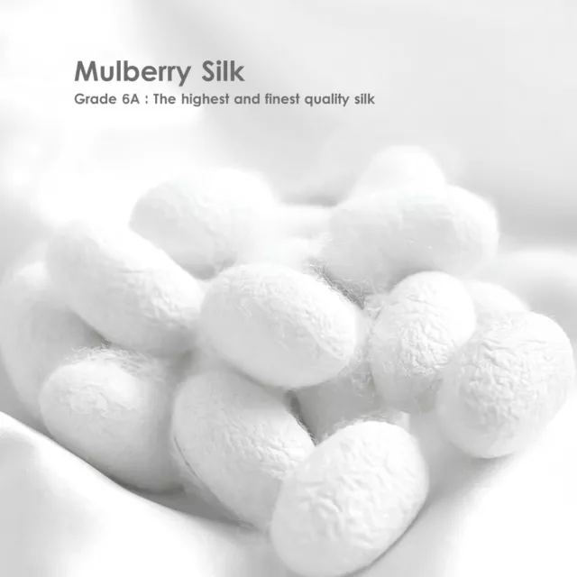 2x Mulberry Silk Standard Pillow Case Slip Protector Genuine 25 Momme Silk Gift 2