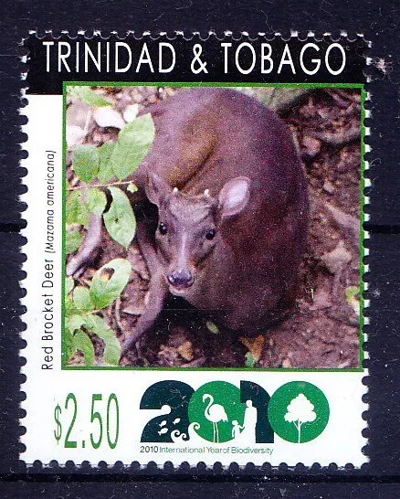 Biodiversity, Red Brocket Deer, Animals, Environment, Trinidad & Tobago 2010 MNH