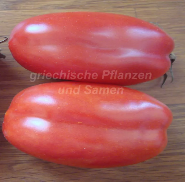 SAN MARZANO Tomate Tomaten 10 Samen alte Sorte Flaschentomate Pastatomate