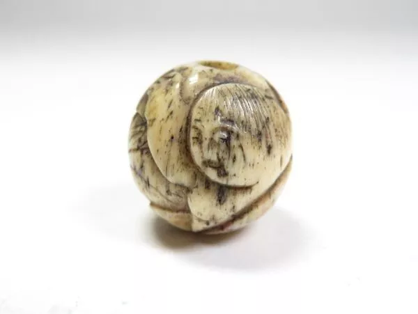 Japanese Netsuke Antik Kind Geweih Schnitzerei Sagemono Meiji Era Japan