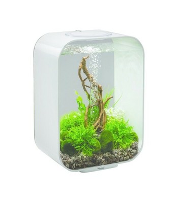 biOrb acquario completo usato 