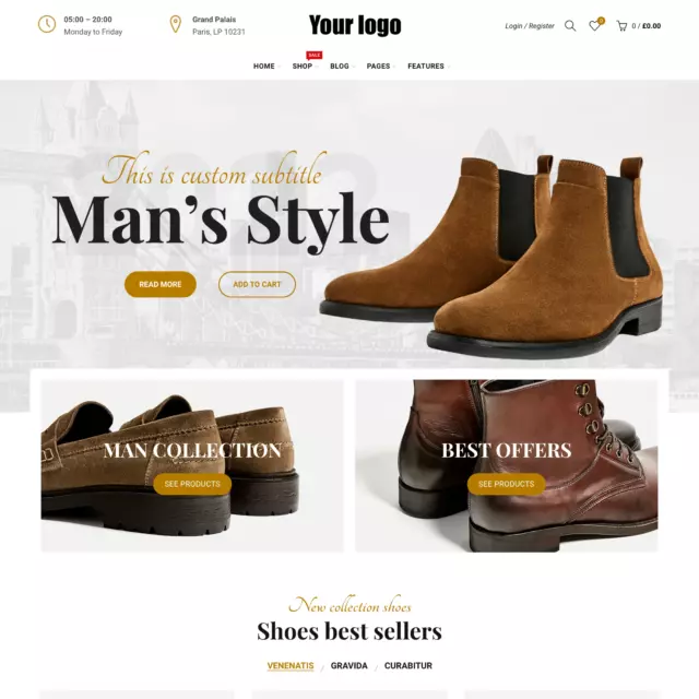 Shoes Online Store Web Design with Free 5GB VPS Web Hosting