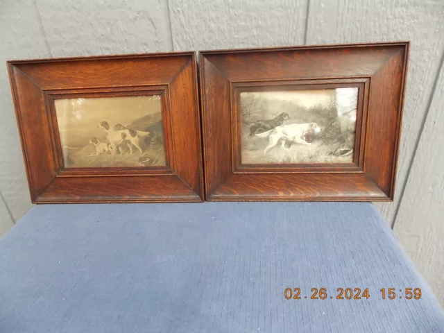 2 Very Old Hunting Dog Prints Wavy Glass Oak Frames by Colin Graeme Early 1900's