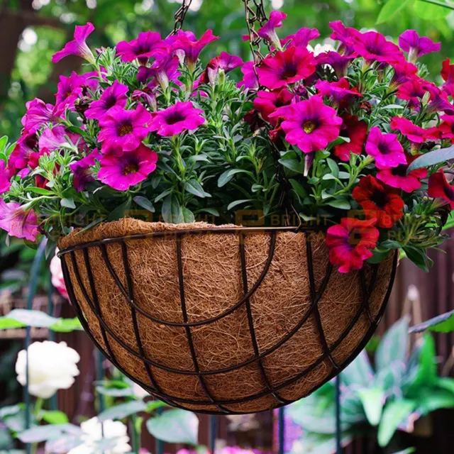 Garden Hanging Basket With Liner & Chain Flower Plant Pots Planters Baskets Coir 3