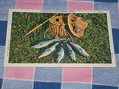 Old Postcard Greetings from Chetek Wisconsin Unused Fish Hat Creel