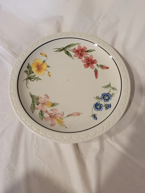 Syracuse China Railroad Southern Pacific Lines