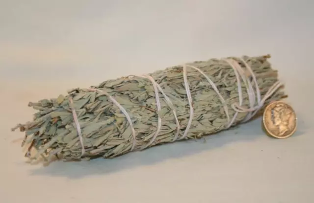 Native American BLUE SAGE Smudge Stick Herb 5 Inch Wand