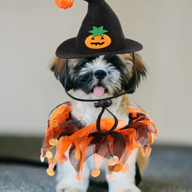 1 Set Halloween Haustierkostüm Lustige Katzenhut Katzenhund Schal Dekorative 9