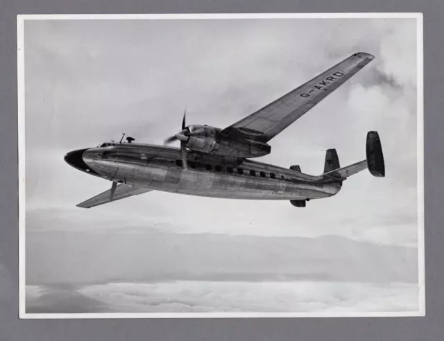 Bea Airspeed Ambassador As.57 Large Vintage Original Manufacturers Photo G1161