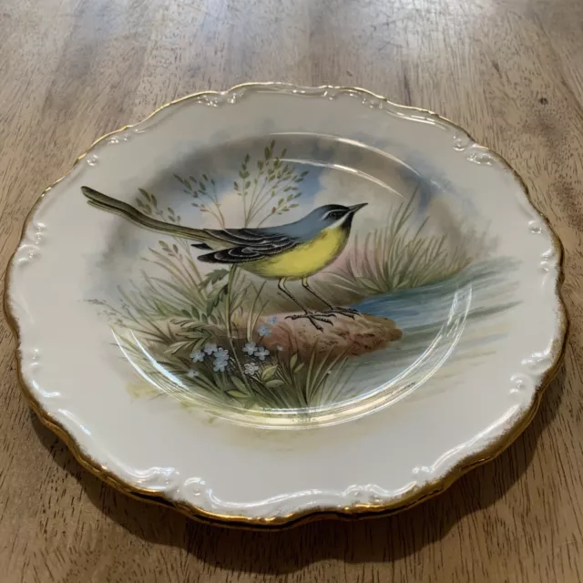 Royal Albert Bone China The Woodland Birds Collection Grey Wagtail Plate