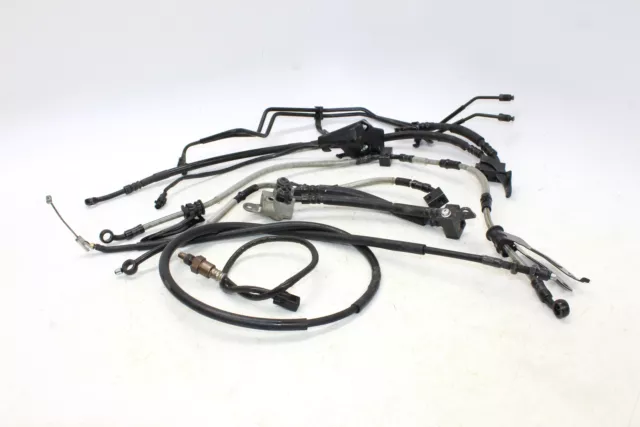 2021 Yamaha Yzf-r1 Brake Caliper Hoses Lines Cable Set