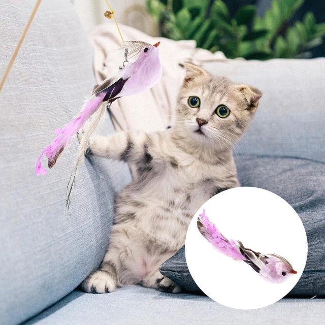Recharge de de jouet pour chat de remplacement pour chat