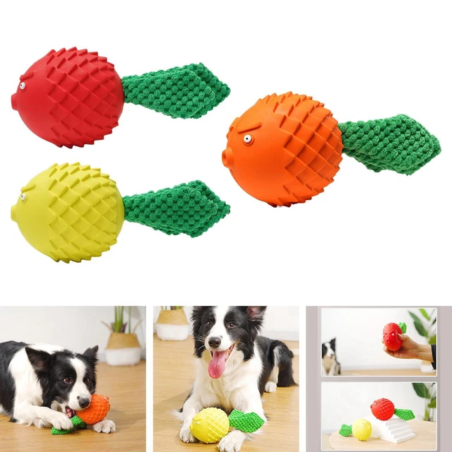 Lustiger Hund, quietschendes Spielzeug, Welpenzahnen, , , Training, spielen,
