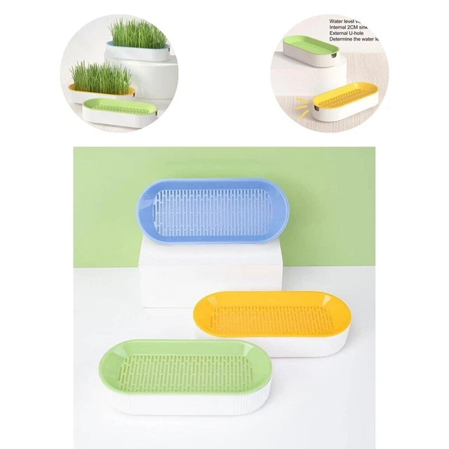 Maceta de planta Catmint fregadero resistente hidroponía base estable caja de plantas Catmint