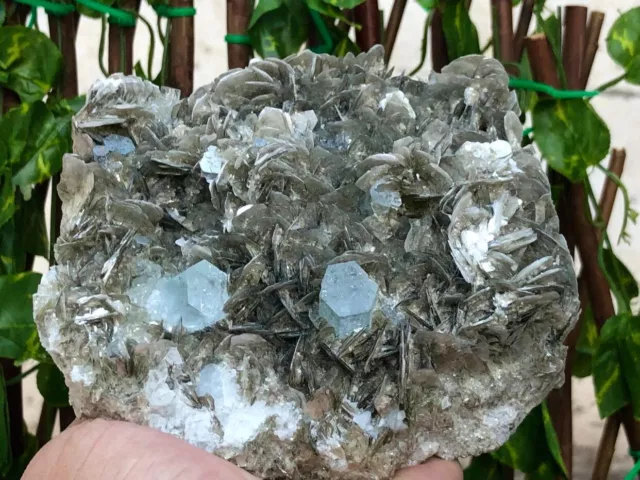 5810 CTS Huge Size Beautiful Aquamarine Cluster with Muscovite Combine specimen