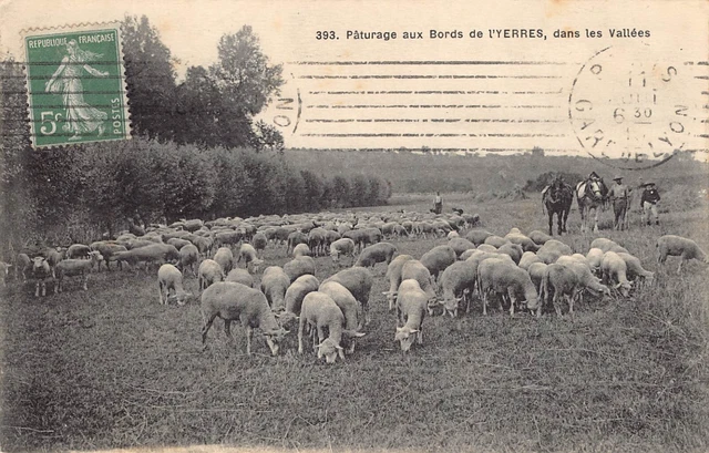 Carte Postale Ancienne Dept 91  - Pâturage au Bord de l ' Yerres dans les Vallée