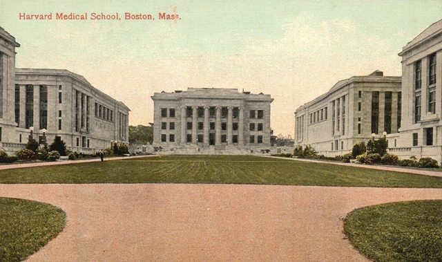 Vintage Postcard Harvard Medical School Campus Grounds Boston Massachusetts MA