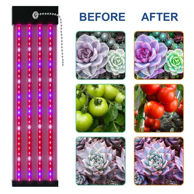 LED PLANT GROW Light Full Spectrum Hydroponic Veg Flower Indoor Plant ...