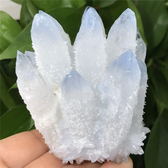360g  New Find Blue White Phantom Quartz Crystal Cluster Mineral Specimen Reiki 3