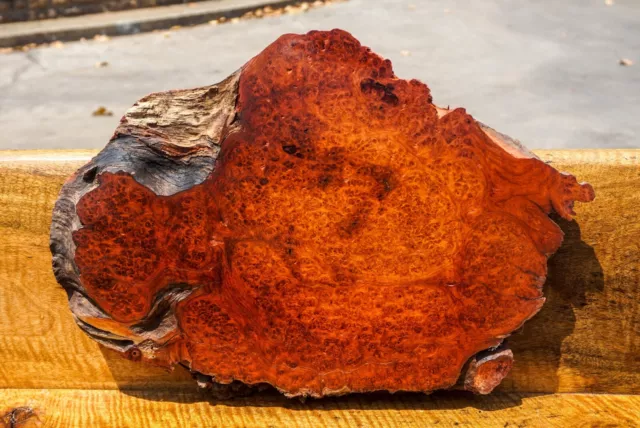 Mesa AMBYNA BURL MADERA borde vivo epoxi hágalo usted mismo losa natural resina de madera