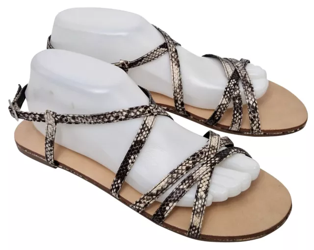 CARVELA LADIES TAN Leather Leopard Print Sandals Size 5 Brand New 10.00 PicClick UK