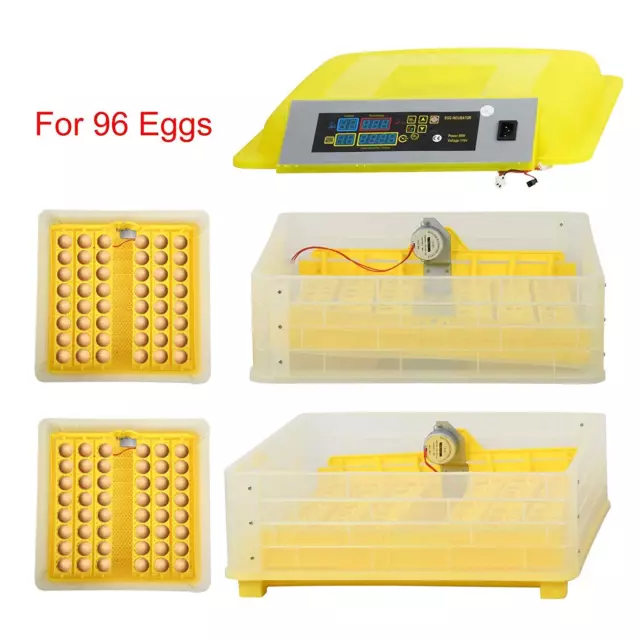 96 Digital Clear Egg Incubator Hatcher Automatic Egg Turning Temperature Control 3