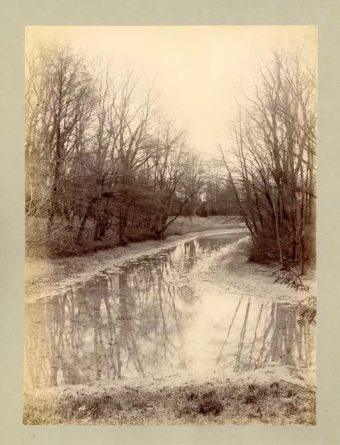 France, Lyon, Parc de la Tête D&#039;Or  Vintage albumen print.  Tirage albumi