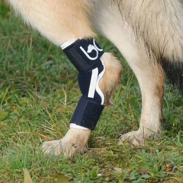 Balto Dog Hock Brace: True Support- ALUMINIUM INSERTS