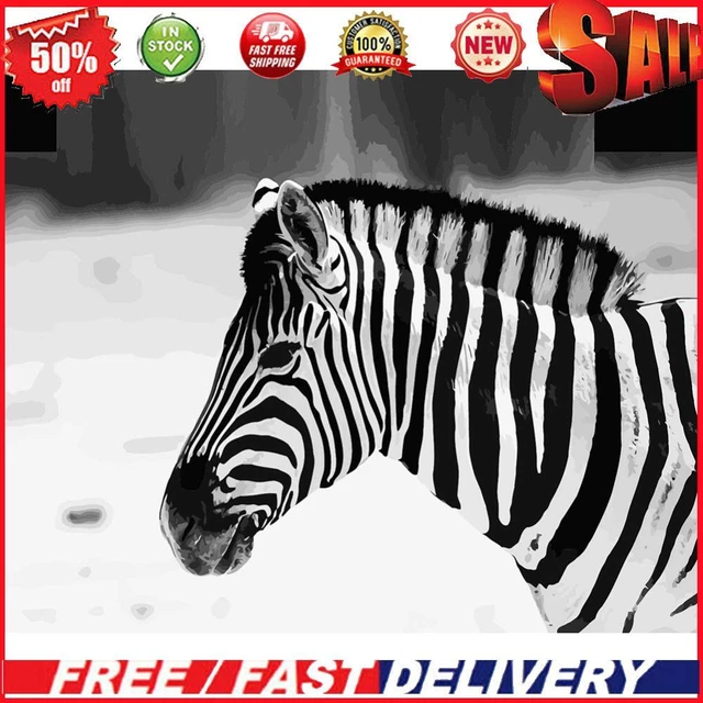 Hand Painted Painting By Numbers Kit Zebra Head Canvas DIY Oil Wall Picture Gift