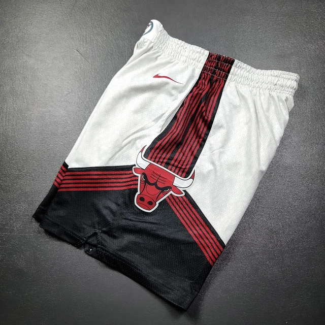 NIKE NBA CHICAGO BULLS CITY EDITION SWINGMAN SHORTS ANTHRACITE per €59,00