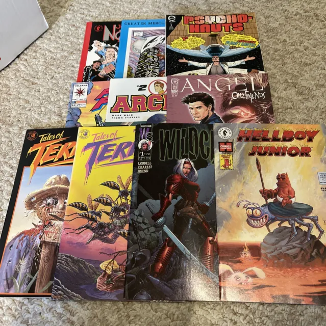Misc Indy Comics Lot Of 10 - All Photo’d Comics - Including Hellboy Wildcats
