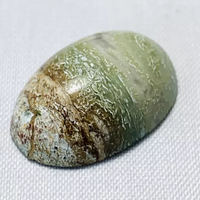 Echter Grünfarbener Jade Oval Cabochon 11.77ct 19.5x13.2mm