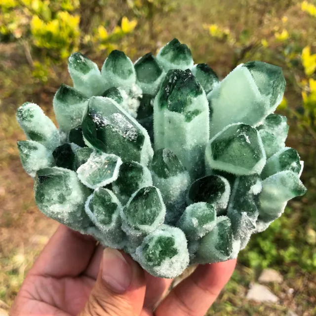New Find Green Phantom Quartz Crystal Cluster Mineral Specimen Healing