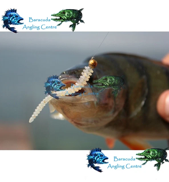 crazy fish lures uk Relaxgiant 4 Pcs Funny Fishing Lures, Bass Fishing for Freshwater Saltwater Top Water, Gear Gag Gift for Fish Lovers, Men, Father's Day, CRAZY FISH CRUEL Leech 4''