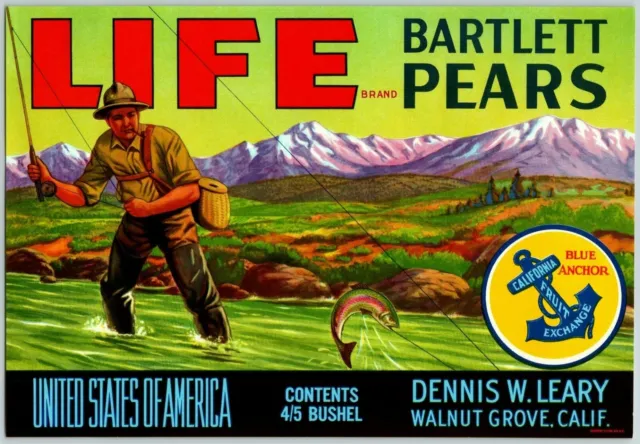 Life Brand Bartlett Pears Vintage Original Paper Fruit Crate Label Fishing
