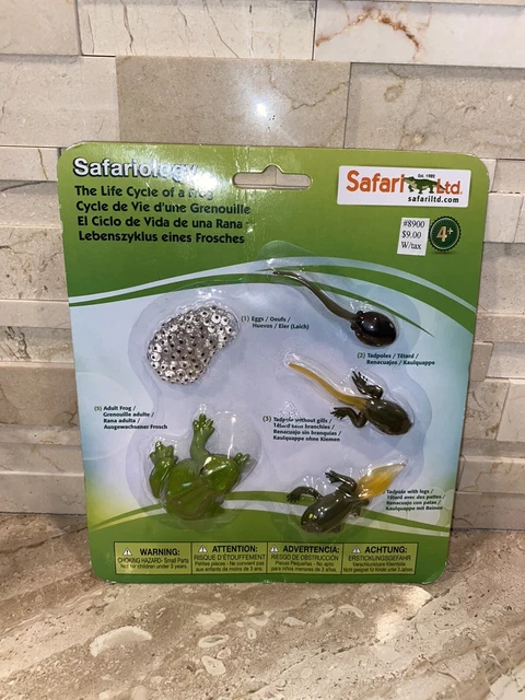 SAFARI LTD. LIFE Cycle of a Frog Educational Toy Figure Animal Replica ...