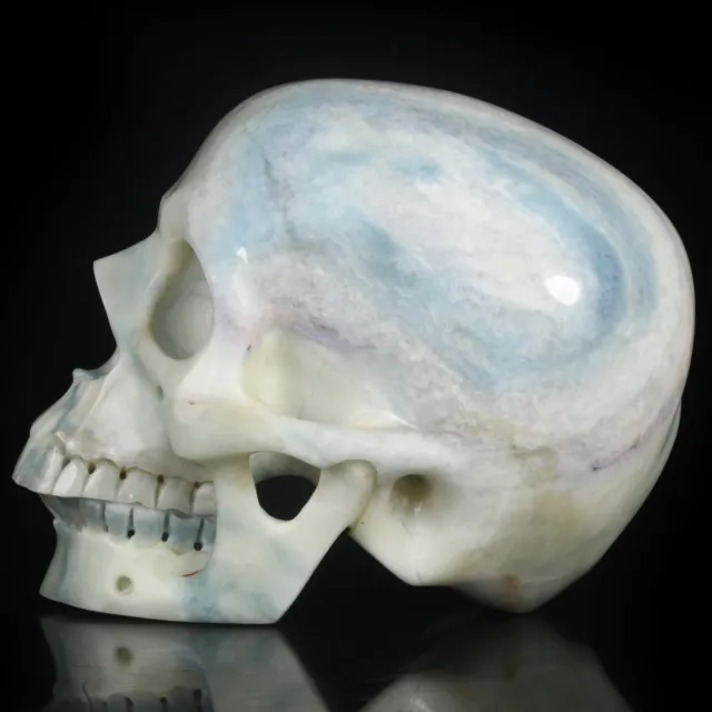 Coleccionables de cráneo tallado en amazonita natural de 6,02" curación metafílica #33G41 