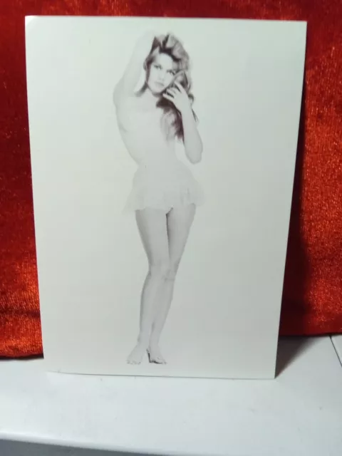 Vintage Postcard Of Brigitte Bard