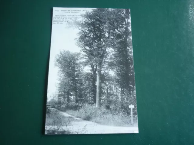 Cpa 03 /  Foret De Troncais  " Chene Appolon "