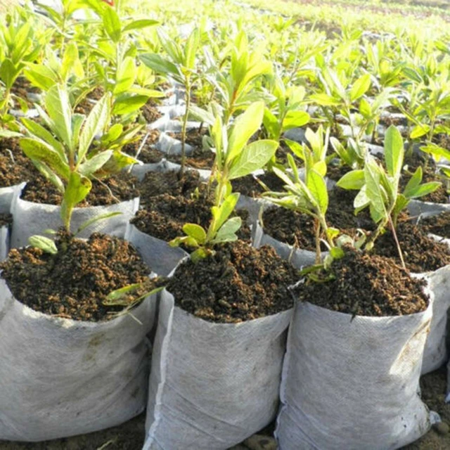 Biodegradable Non-Woven Nursery Bag Plant Grow Planting Pots Growing Bag Quality