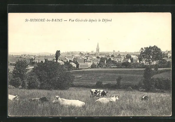 CPA St-Honoré-les-Bains, General View from the Defend