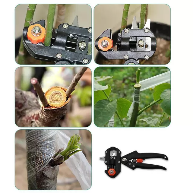 Professional Garden Fruit Tree Pruning Shear Grafting