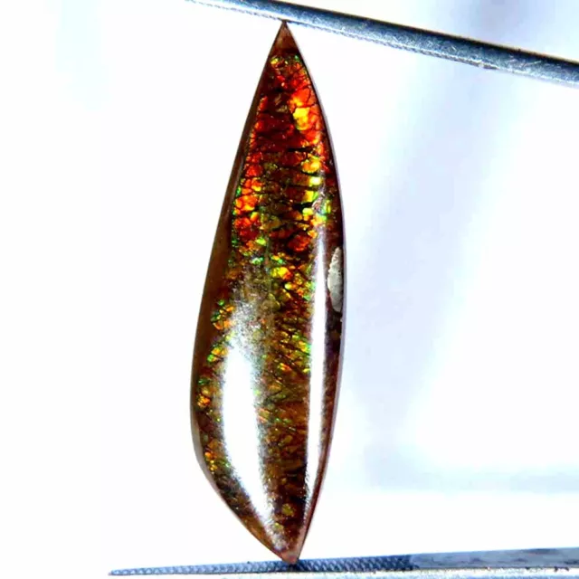 9.80Cts.100% Natural Multi Fire Ammolite Fancy Cabochon 9x32x3mm Top Gemstones