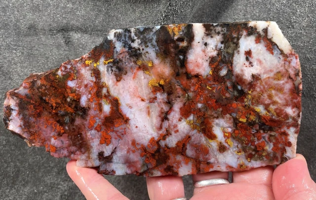 St. John's Flower Agate Rough - Arizona!