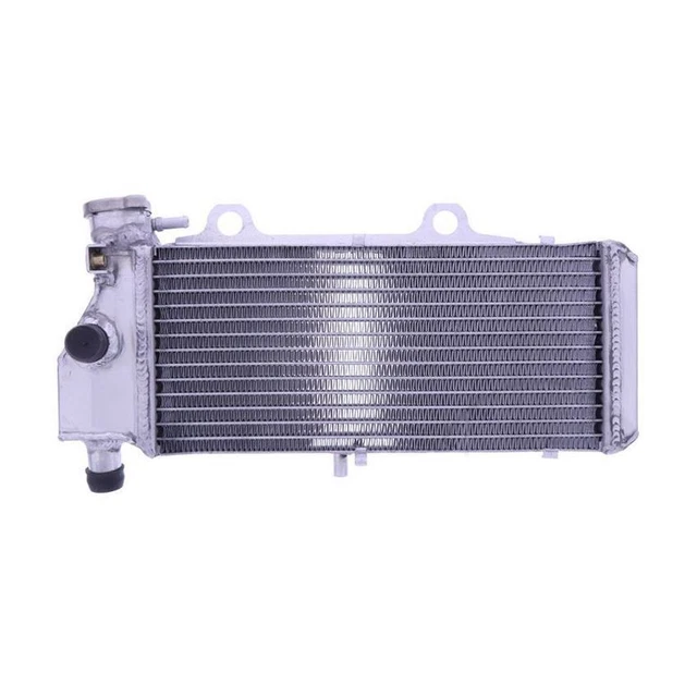 Borse laterali per BMW F 650, CS, GS, ST, Dakar (1994-2007) | Accessori