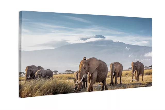 Leinwandbild Kunst-Druck Afrikanische Elefantenherde 140x70 cm