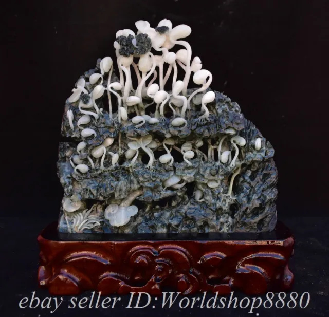 10" Chinese Natural Dushan Jade Hand Carved Stone Bean sprout  Statue
